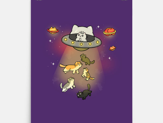 UFO Meow