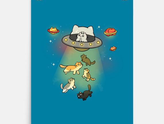 UFO Meow