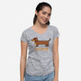 Plank Champion-Womens-V-Neck-Tee-erion_designs