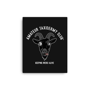 Amateur Taxidermy Club