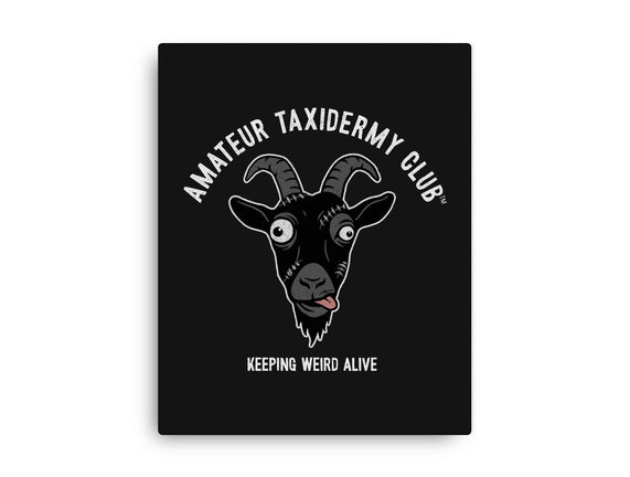 Amateur Taxidermy Club