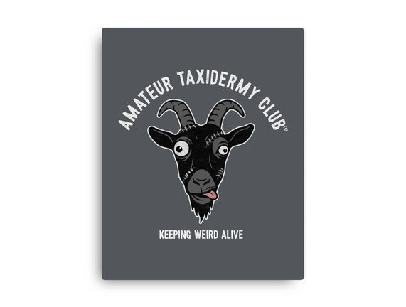 Amateur Taxidermy Club