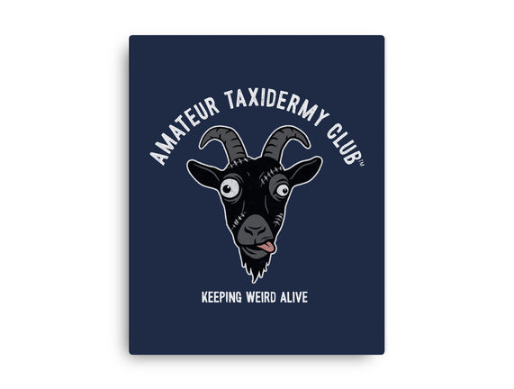 Amateur Taxidermy Club