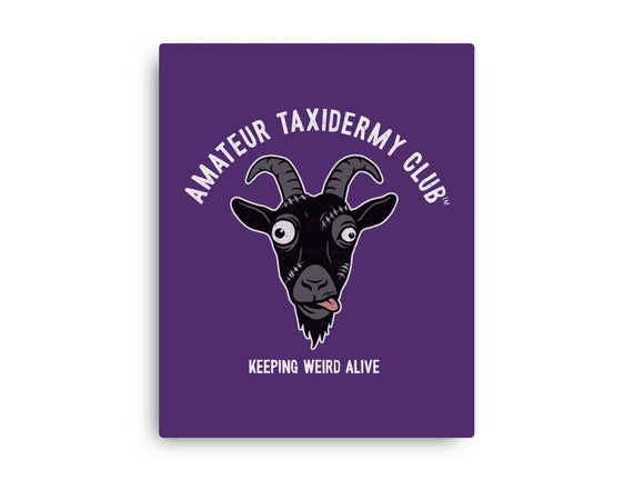 Amateur Taxidermy Club