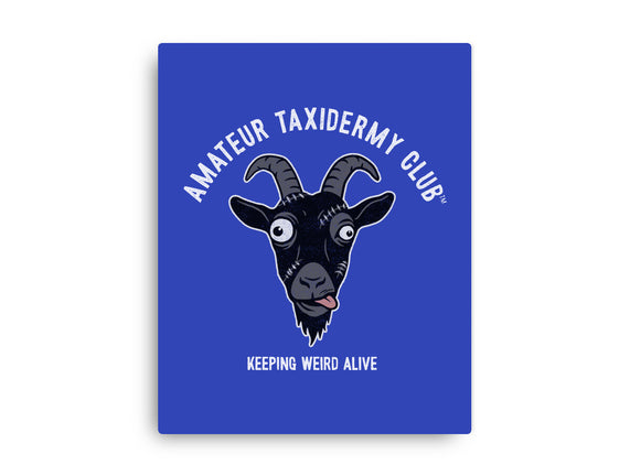 Amateur Taxidermy Club