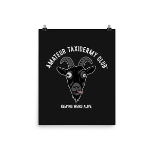 Amateur Taxidermy Club