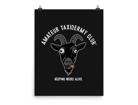 Amateur Taxidermy Club