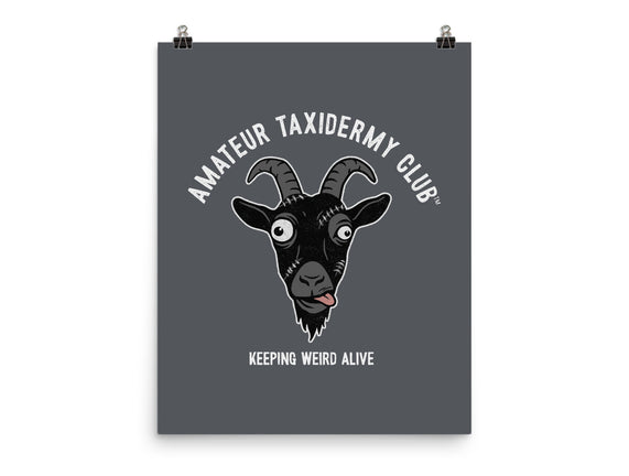 Amateur Taxidermy Club