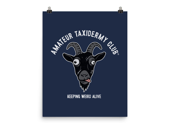 Amateur Taxidermy Club
