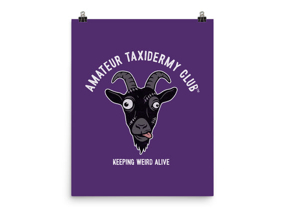 Amateur Taxidermy Club