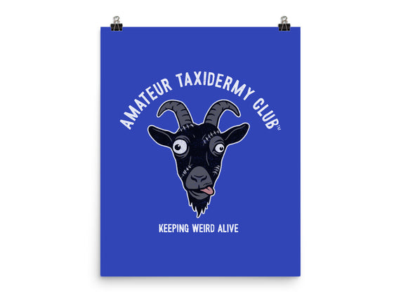 Amateur Taxidermy Club