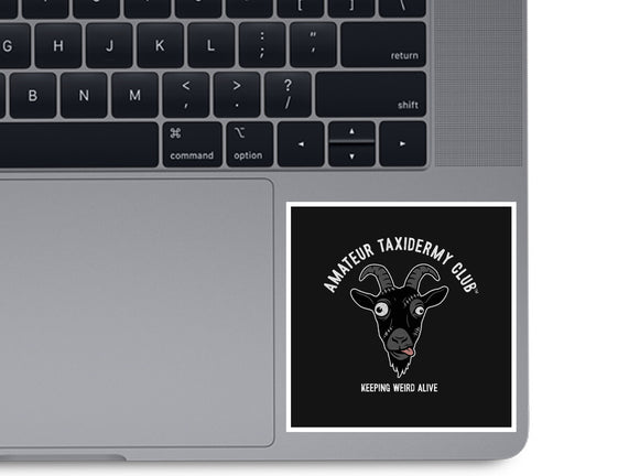 Amateur Taxidermy Club