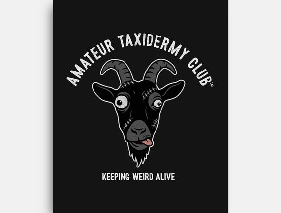 Amateur Taxidermy Club