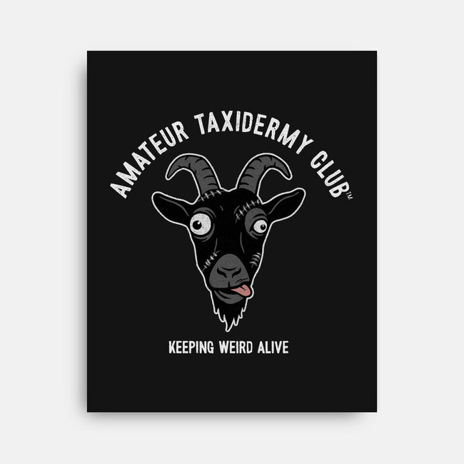 Amateur Taxidermy Club-None-Stretched-Canvas-OPIPPI