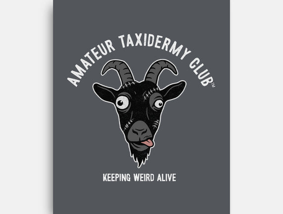 Amateur Taxidermy Club