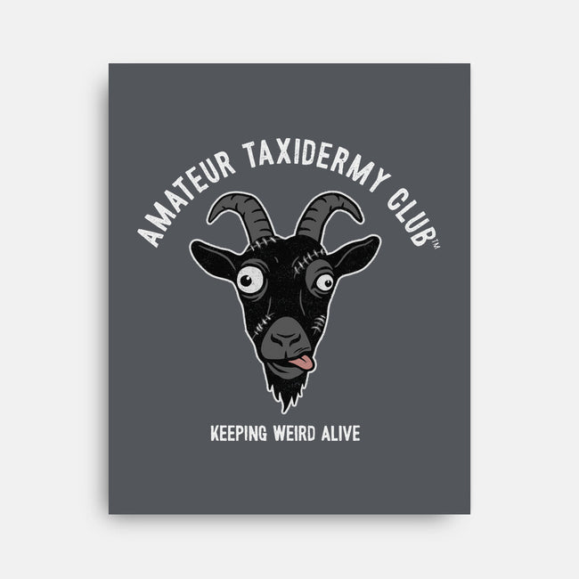 Amateur Taxidermy Club-None-Stretched-Canvas-OPIPPI