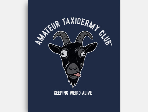 Amateur Taxidermy Club