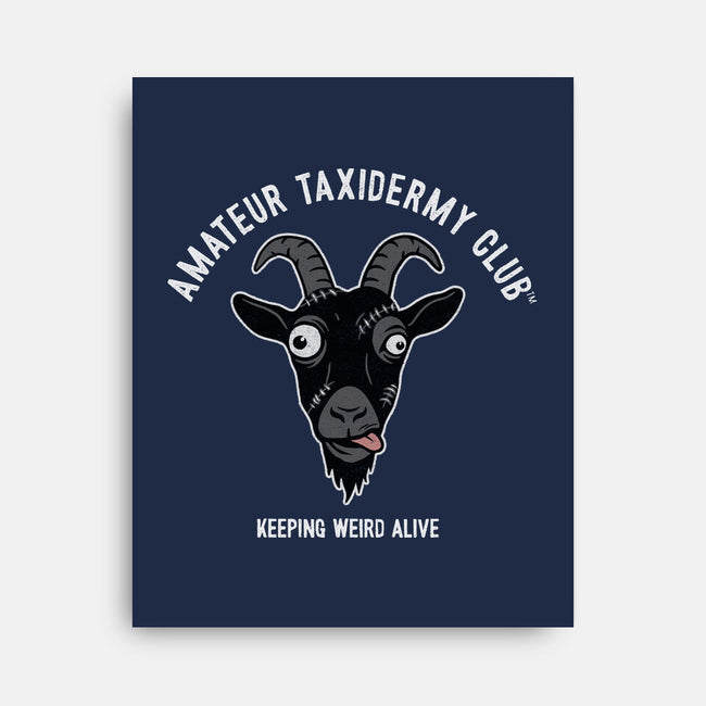 Amateur Taxidermy Club-None-Stretched-Canvas-OPIPPI