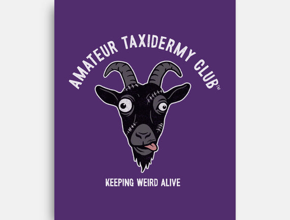 Amateur Taxidermy Club