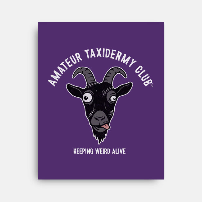 Amateur Taxidermy Club-None-Stretched-Canvas-OPIPPI