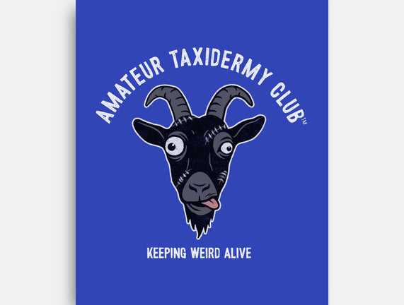 Amateur Taxidermy Club
