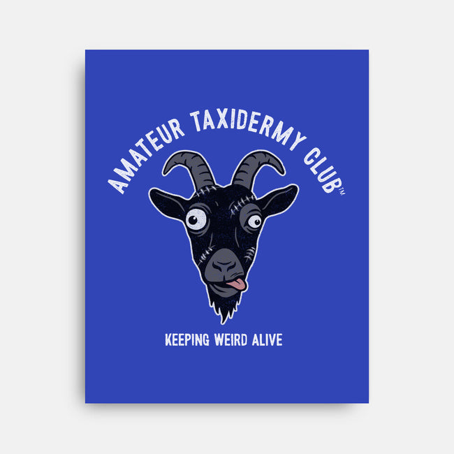 Amateur Taxidermy Club-None-Stretched-Canvas-OPIPPI