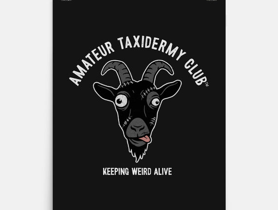 Amateur Taxidermy Club