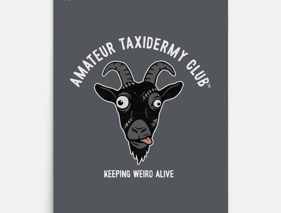 Amateur Taxidermy Club