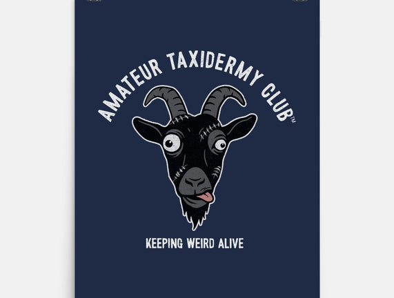 Amateur Taxidermy Club