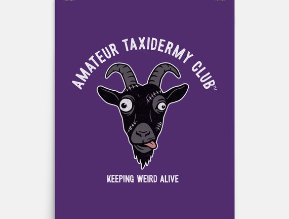 Amateur Taxidermy Club