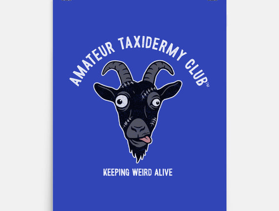 Amateur Taxidermy Club