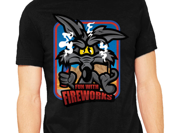 Fun With Fireworks
