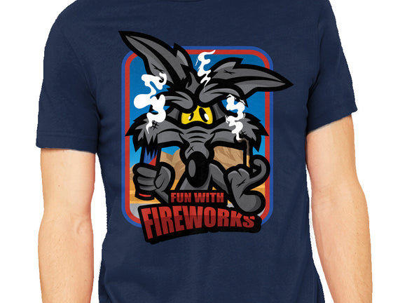 Fun With Fireworks
