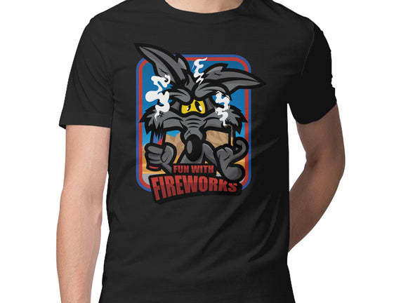 Fun With Fireworks