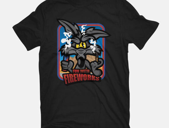 Fun With Fireworks