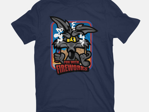 Fun With Fireworks