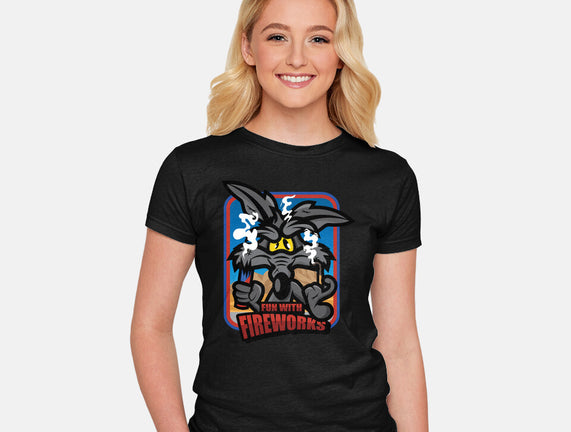Fun With Fireworks