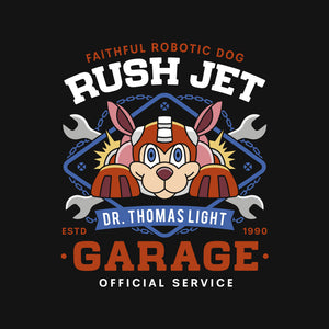 Dr Thomas Light Garage