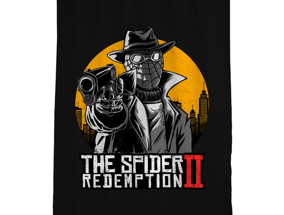 The Spider Redemption