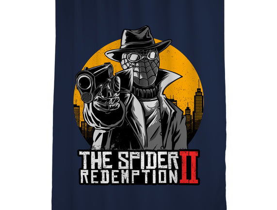 The Spider Redemption