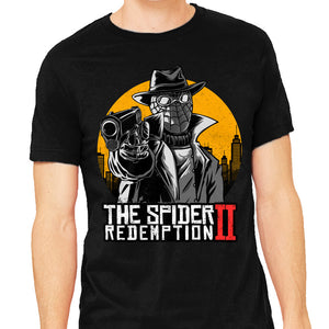 The Spider Redemption