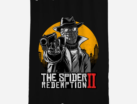 The Spider Redemption