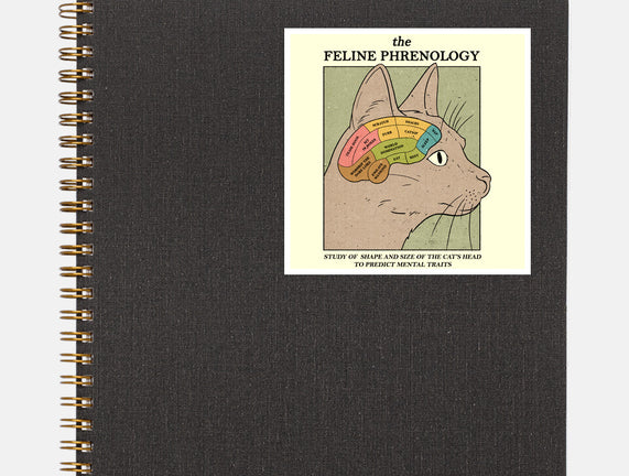 Feline Phrenology