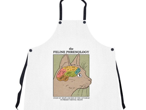 Feline Phrenology