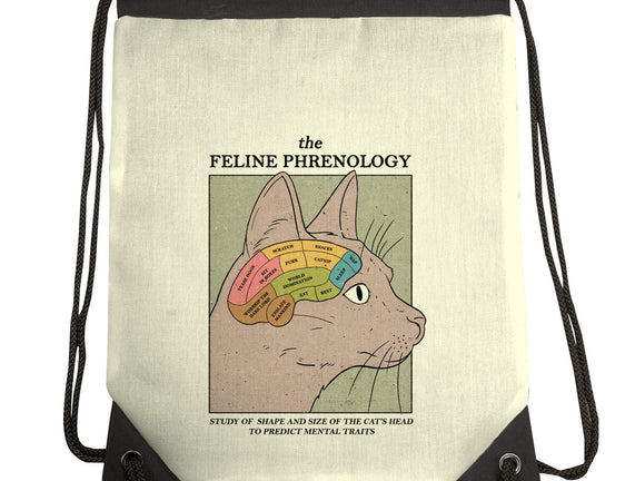 Feline Phrenology