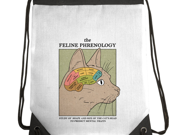 Feline Phrenology