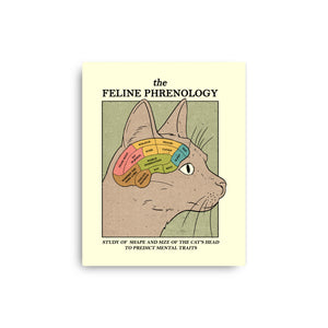 Feline Phrenology