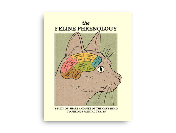 Feline Phrenology