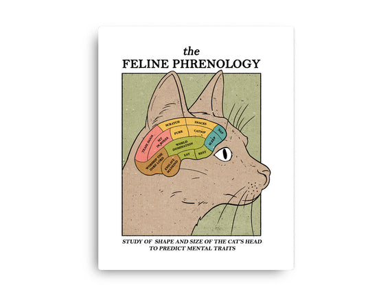 Feline Phrenology
