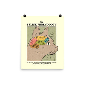Feline Phrenology